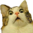 Shanel